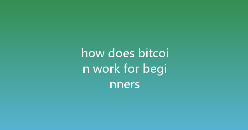 how does bitcoin work for beginners 